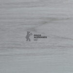 Ash Wood Home 22,5 cm x 90 cm - ILVA Porcelanato - Image 3