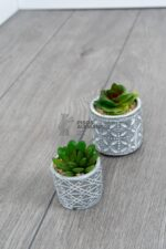 K395 Tornado OAK - Binyl Pro ORCA - Image 5