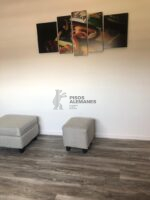 Silver Pine 8888 - Piso Vinilico SPC 4 mm - Image 6