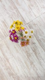 Porcelanico Goethe Rectificado - Image 2